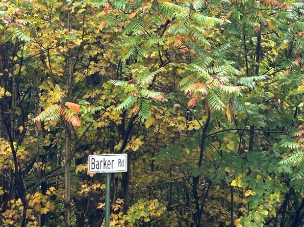 0 North Rd, Dolgeville, NY 13329