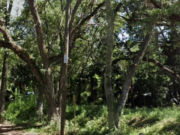 Twigg St Lot 10, Brooksville, FL 34601
