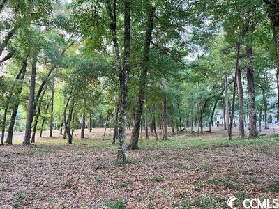 155 Brickwell Ln., Pawleys Island, SC, 29585