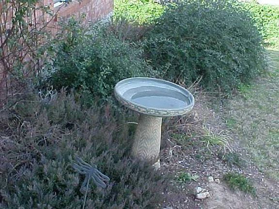 3rd image of 1113 Clayton Dr