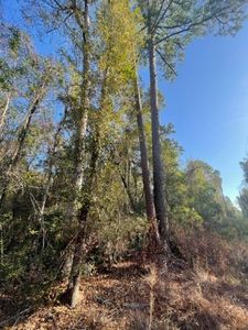 Walling Rd, Jay, FL, 32565