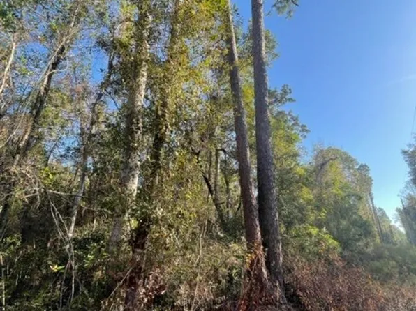 Walling Rd, Jay, FL 32565