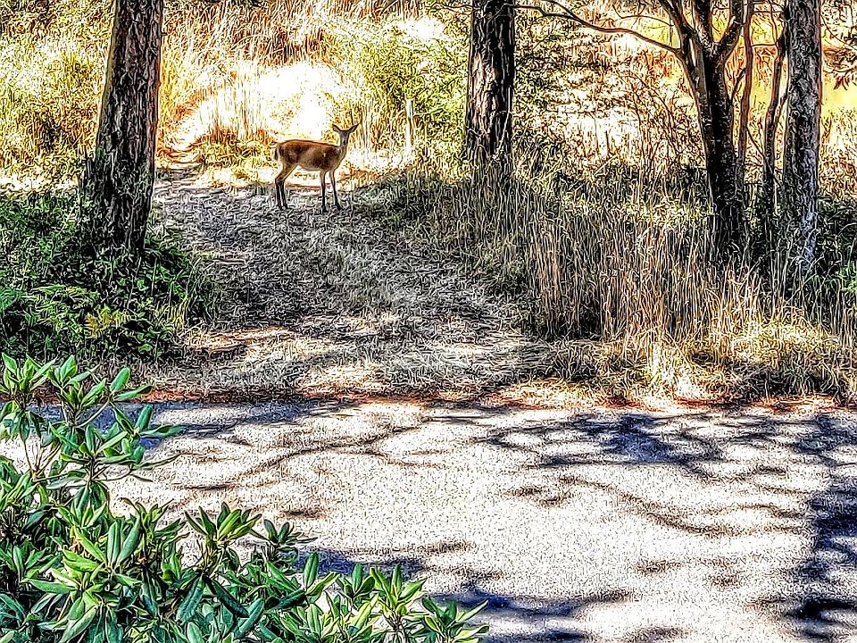 Quiet neighbors, you can view from window.