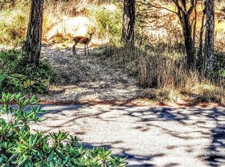 1006 Lampard Rd, Friday Harbor, WA 98250