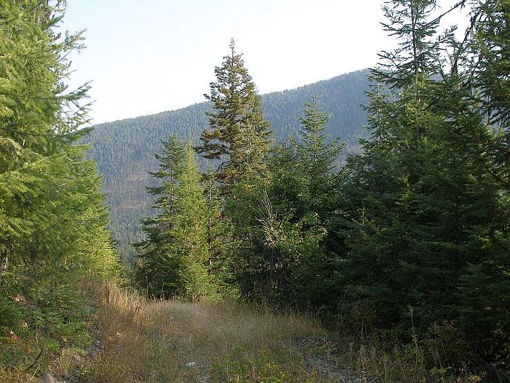 2nd image of Rabbit Creek Rd