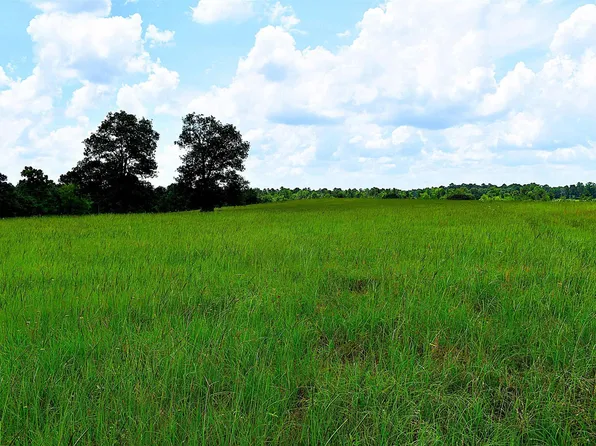8034 E County Road 212, Buffalo, TX 75831
