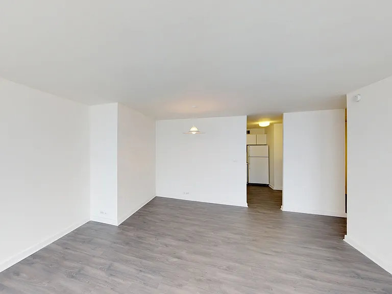 Dining/Living room