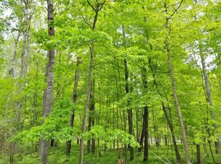 8198 Tanglewood Trl, Stanwood, MI