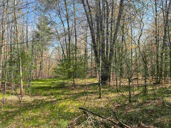 141 Highway, Abrams, WI 54101