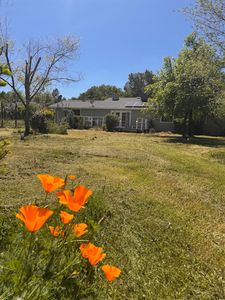 2594 Prado Vista Ct, Placerville, CA, 95667
