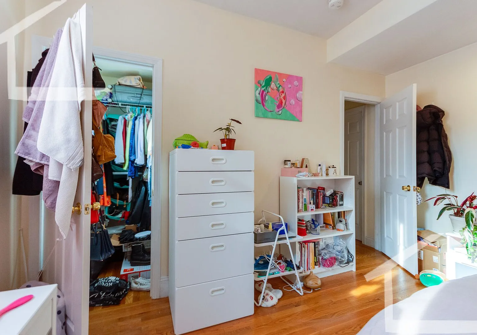 Unique BU Apartment - It's ridiculous what the living room looks like! — Photo 2