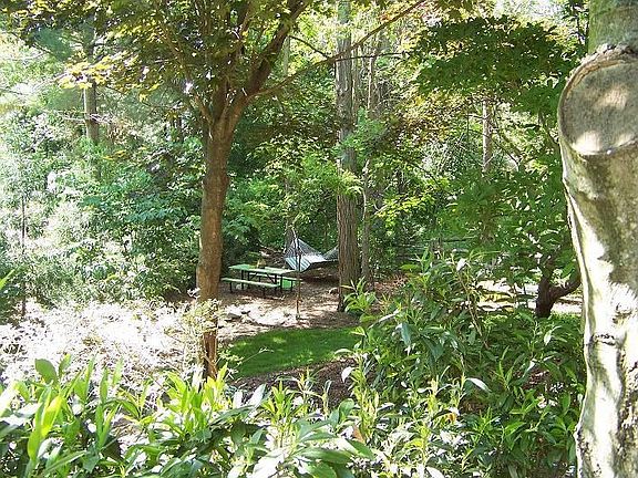 Hammock and picnic area