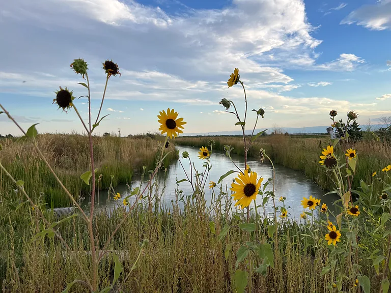 Eight Mile Rd — Photo 30