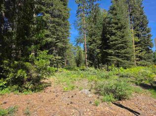 75 Mill House, McCloud, CA 96057