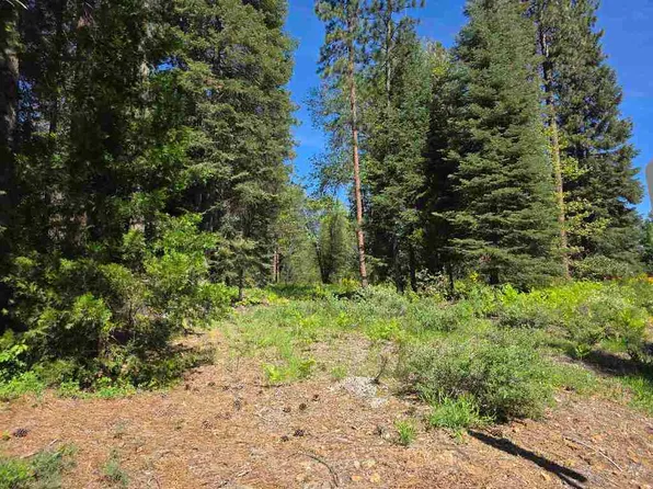 75 Mill House, McCloud, CA 96057