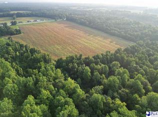 Liberty Chapel Rd, Florence, SC 29506