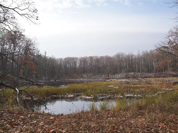0 County Rd W, Weyerhaeuser, WI 54895