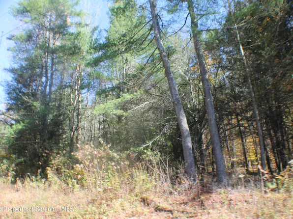 0 State Route 858 Hwy, Little Meadows, PA 18830