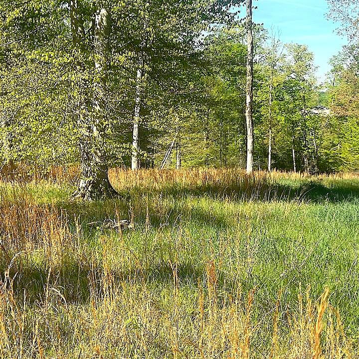 1st image of Nixon Rd