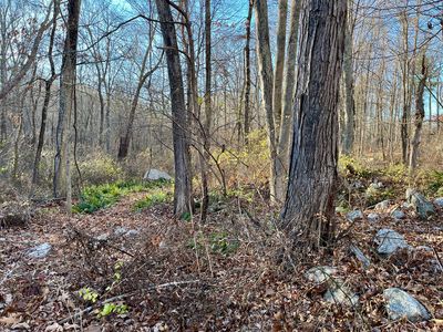 283 Windham Avenue, Colchester, CT, 06415