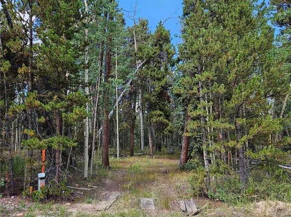 67 Rye Court LOT 82, Fairplay, CO 80440