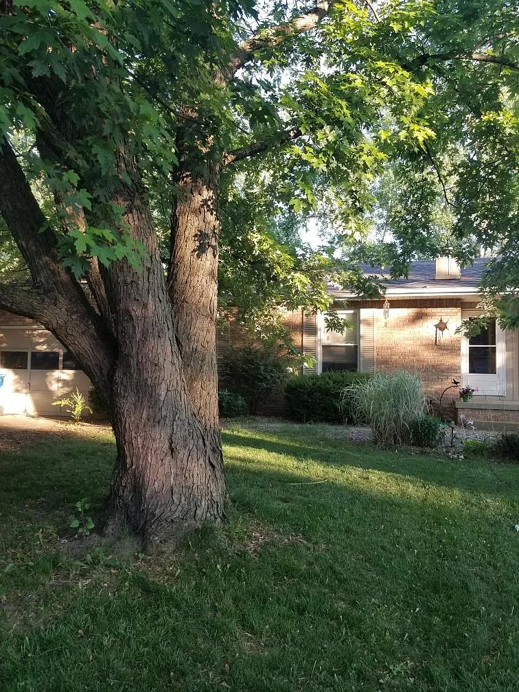 2493 Golden Shore Dr photo 1