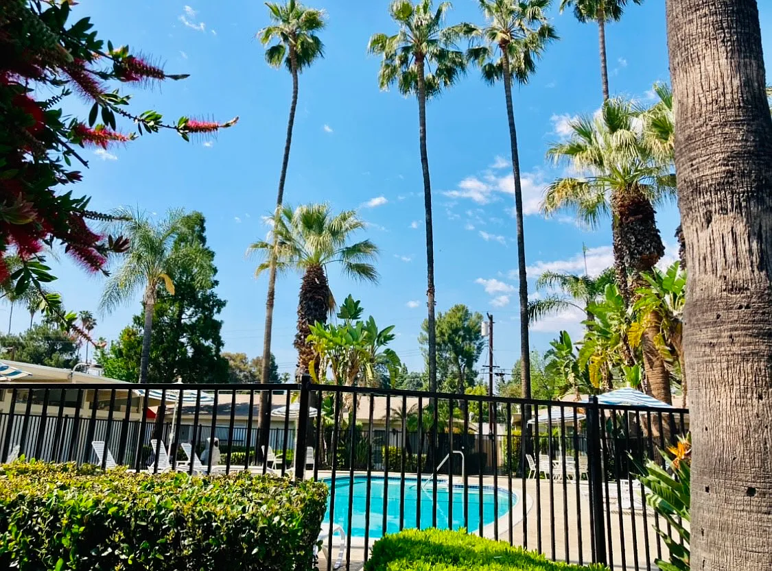 Photo 1 of 19 - Catalina Garden Apartments - Redlands, CA Swimming pool and grounds - Catalina Garden Apartments