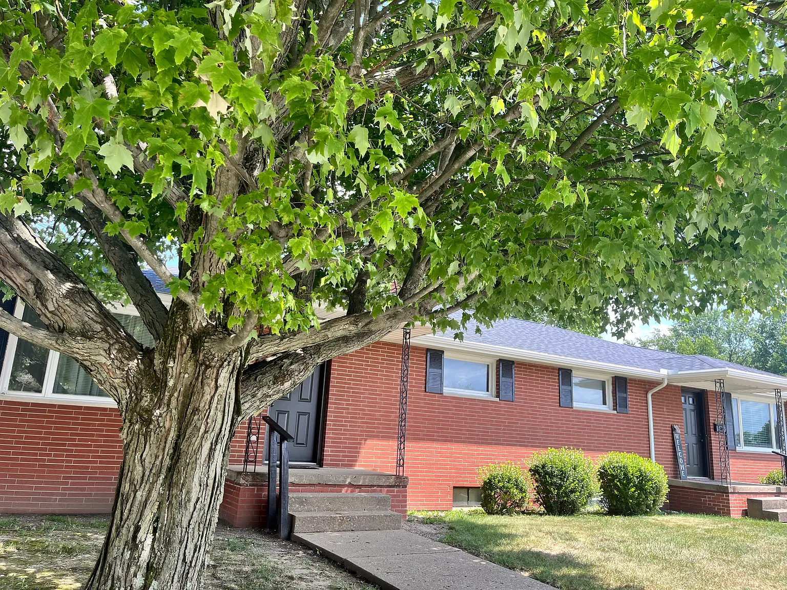 2 bed, 1040 sqft, $1,295 — Photo 2