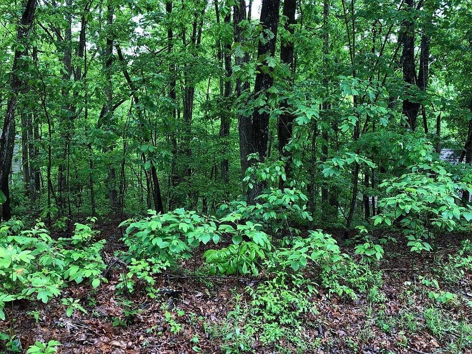 2nd image of 43 Overlook Cir Lot 52