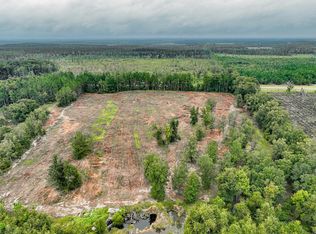 1 Lanes Bridge Rd, Odum, GA 31555