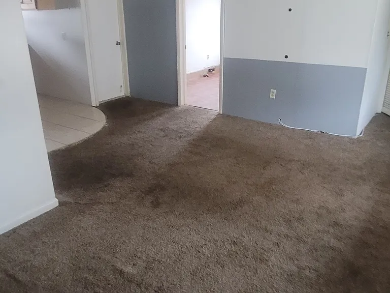 134 Lafayette Ave #2F — Photo 28