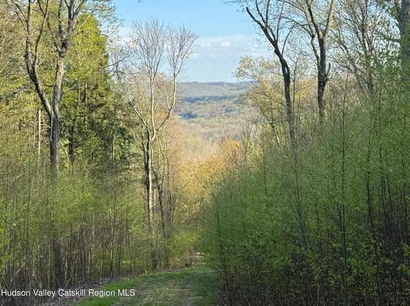 0 Route 82, Ancramdale, NY 12503