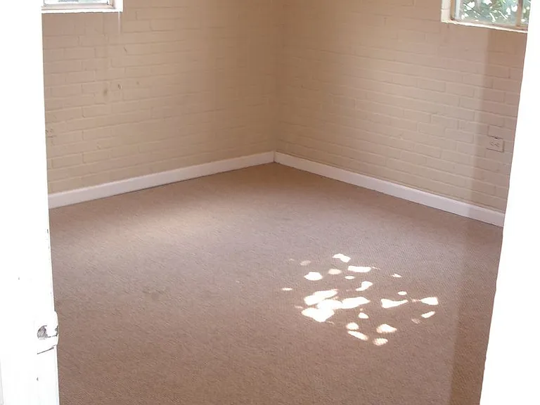 955 Violet St — Photo 12