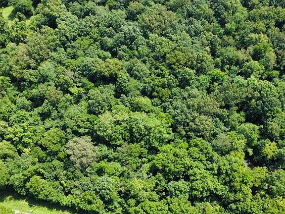 2nd image of 0 Cedar Hill Rd