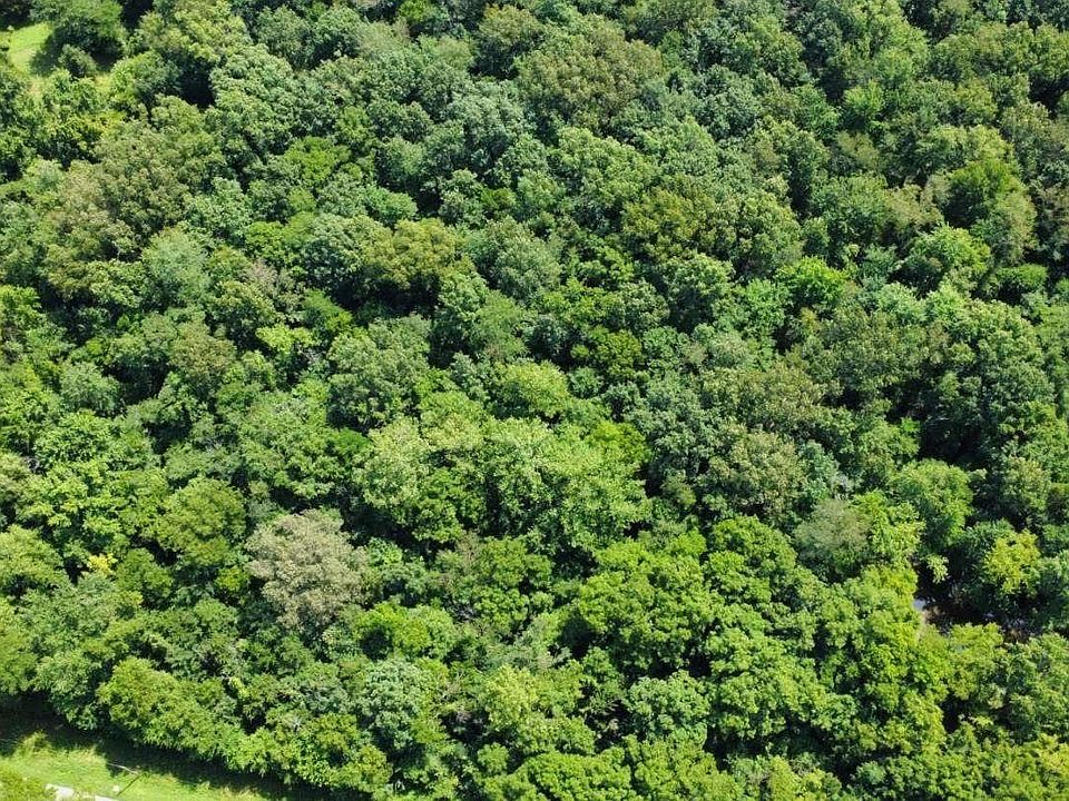 2nd image of 0 Cedar Hill Rd