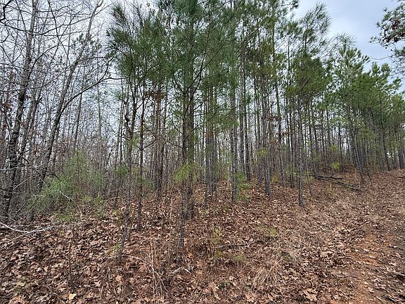 5th image of 130 County Road 14