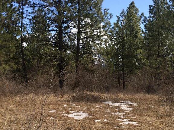 2nd image of 6341 W Wapiti Trl
