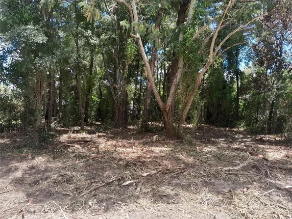 NE 48th St Lot 15, Williston, FL 32696