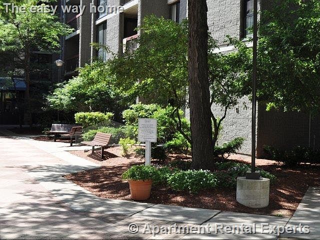 Apartment Rental Experts