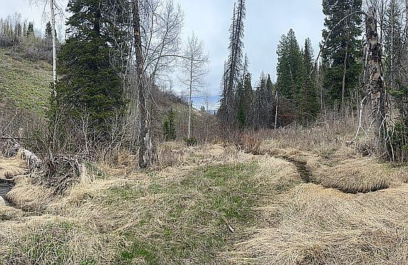 5th image of 2183 S Forest Meadow Rd