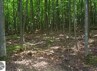 0 Clear View Rd, Rose City, MI 48654