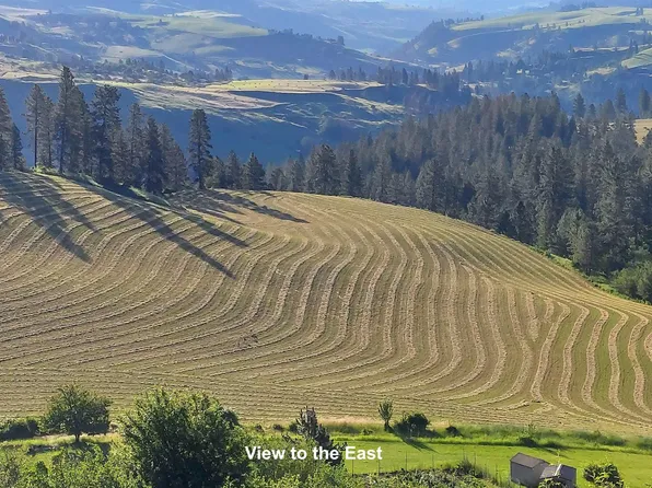 Arabian Lane Lots #4-5-2, Lenore, ID 83541