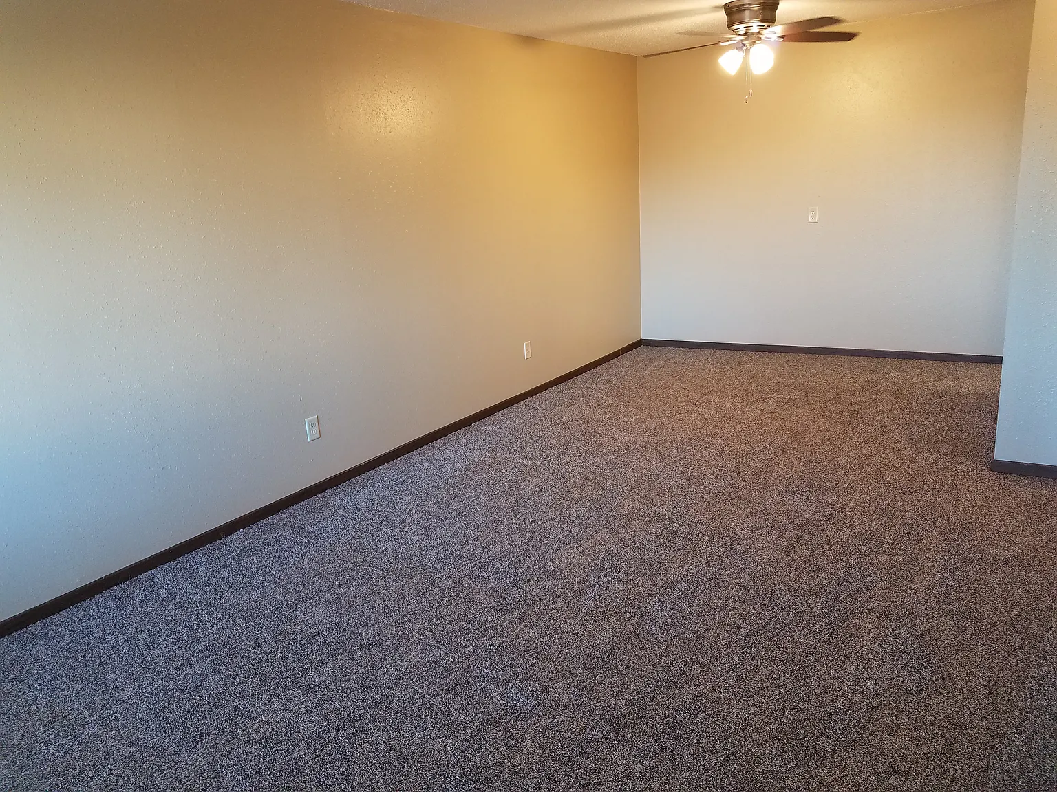 Studio, $765 — Photo 4