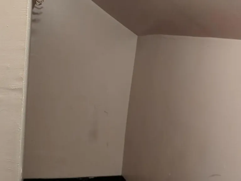 Walk in closet attached to the living room.