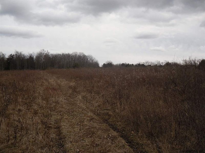 2nd image of 0 REED HILL Road