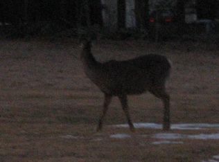 0 Boyd Lake Rd, Milo, ME 04463