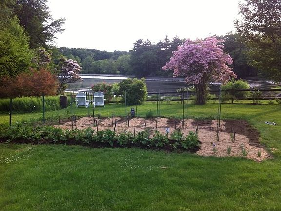 Vegetable garden