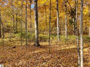0 Lost Resort Dr, Buckley, MI 49620
