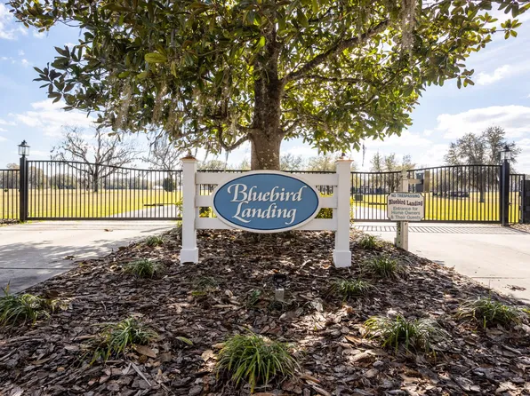 0 Blue Bird Ct SW, Fort White, FL 32038