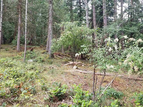 5th image of LOT 1 Burrill Rd